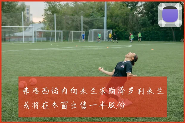 弗洛西诺内向米兰求购泽罗利米兰或将在冬窗出售一半股份
